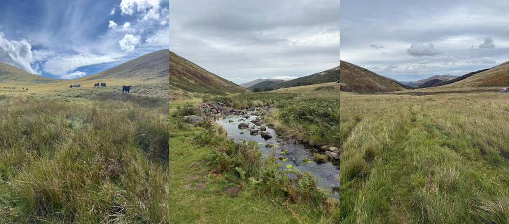 fields.png fields.png