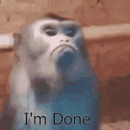 M2GIF.gif