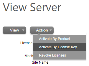 Map or revoke licenses from the Server under the "Action" menu.