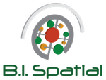 BI Spatial Square 500x500 cropped.png