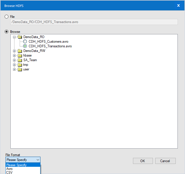 The HDFS File Selection tool only allows Avro or CSV file types.