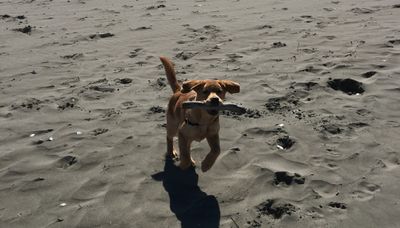 bruce 2.jpg bruce 2.jpg