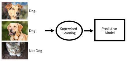 Supervised learning